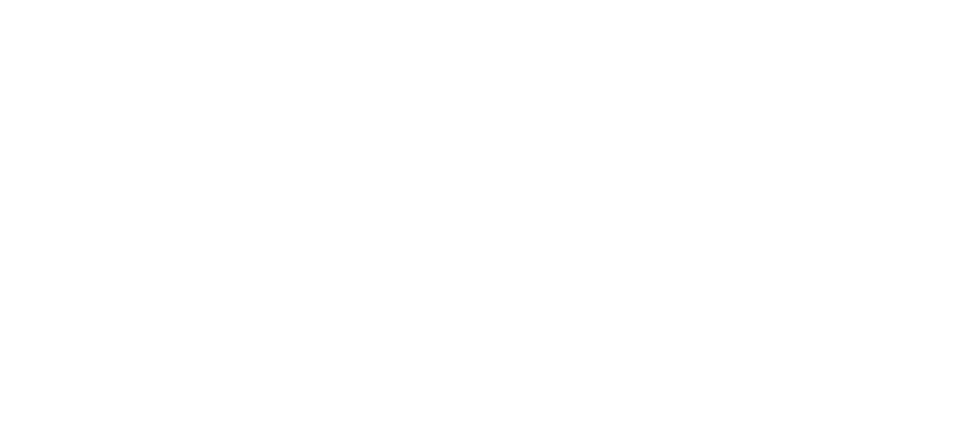 UK - Next Day Delivery